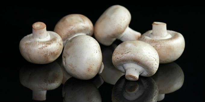 Setas - mushroomy champiñón
