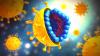Virus de la hepatitis C: ¿cómo evitar la infección?