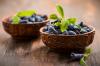 Madreselva Berry: propiedades útiles y receta