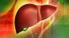 10 reglas básicas del hígado sano
