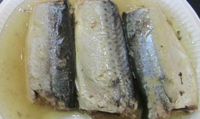 - aceite de sardina sardinas en aceite