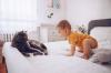 ¿Qué mascotas son peligrosas para los niños? La respuesta del doctor Komarovsky