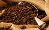 Cómo seleccionar los mejores granos de café?