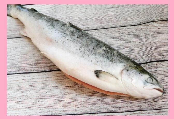 Omega - 3 en el pescado (salmón)