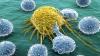 ¿Cómo la naturaleza ayuda a combatir el cáncer