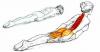 8 ejercicios para ayudar a enderezar su postura y aliviar el dolor de espalda
