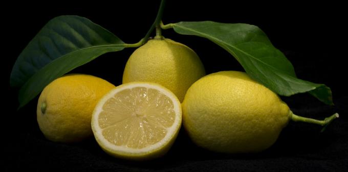 Limón - Limón