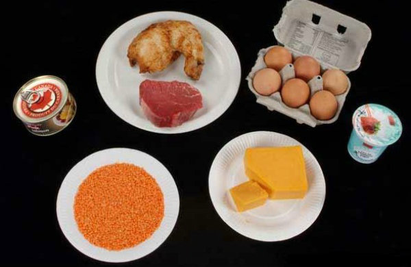 Los alimentos con proteínas - alimento rico en proteínas