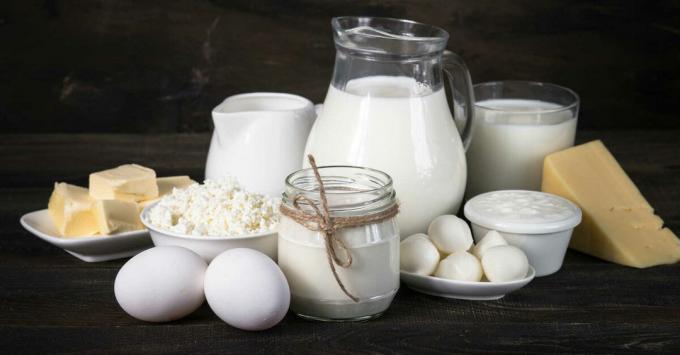 Productos lácteos - Leche y productos lácteos