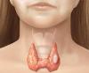 Los nodos de la glándula tiroides: es posible que no se puede?