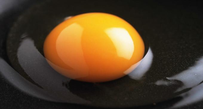 Clara de huevo - la clara de un huevo