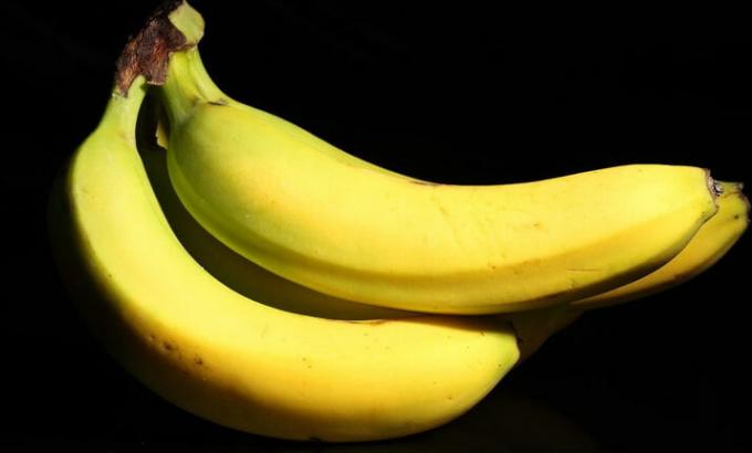 Plátanos - plátano