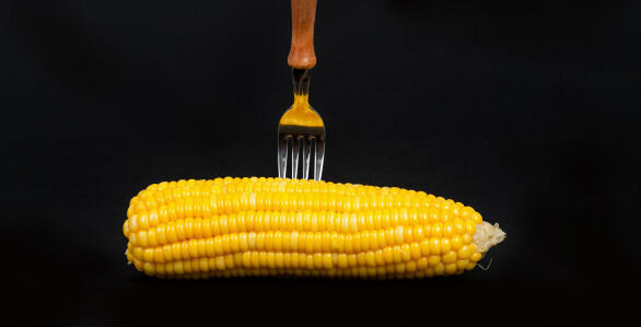Maíz - maíz