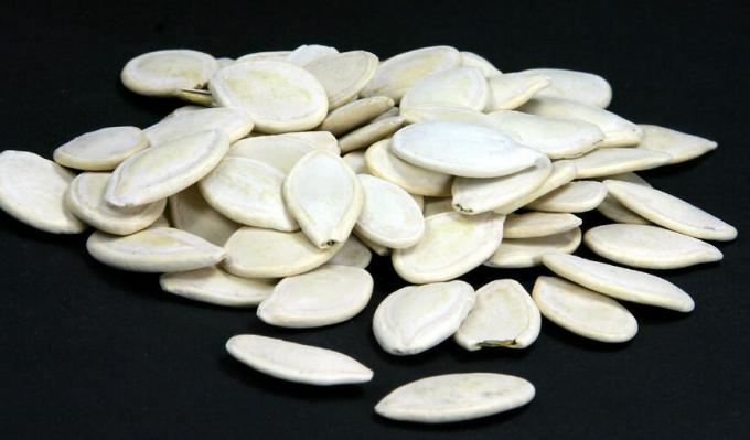  Las semillas de calabaza - semillas de calabaza