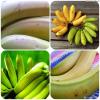 ¿Cómo deshacerse de los problemas de estómago con la ayuda de plátano verde