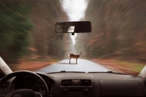 Los conductores cuidado con la carretera: 3 factores de riesgo más importantes