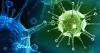 Los virus: cómo nuestros cuerpo lucha contra ellos?