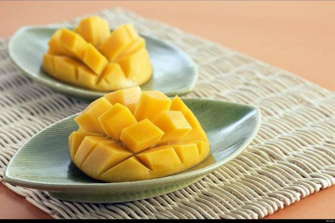 Cómo cultivar un mango en casa: instrucciones paso a paso