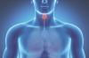 Los problemas de tiroides: 12 síntomas