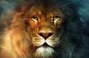 12 características de los leones, para los que les va a encantar