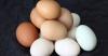 Disipado el mito de las polémicas huevos daño
