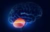 Un tumor del cerebelo: síntomas de patología