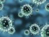 Virus de la gripe B (Colorado) en el año 2019 a 2020: ¡cuidado!