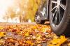 Precaución, otoño: los 9 mejores consejos para conductores que pueden salvar vidas